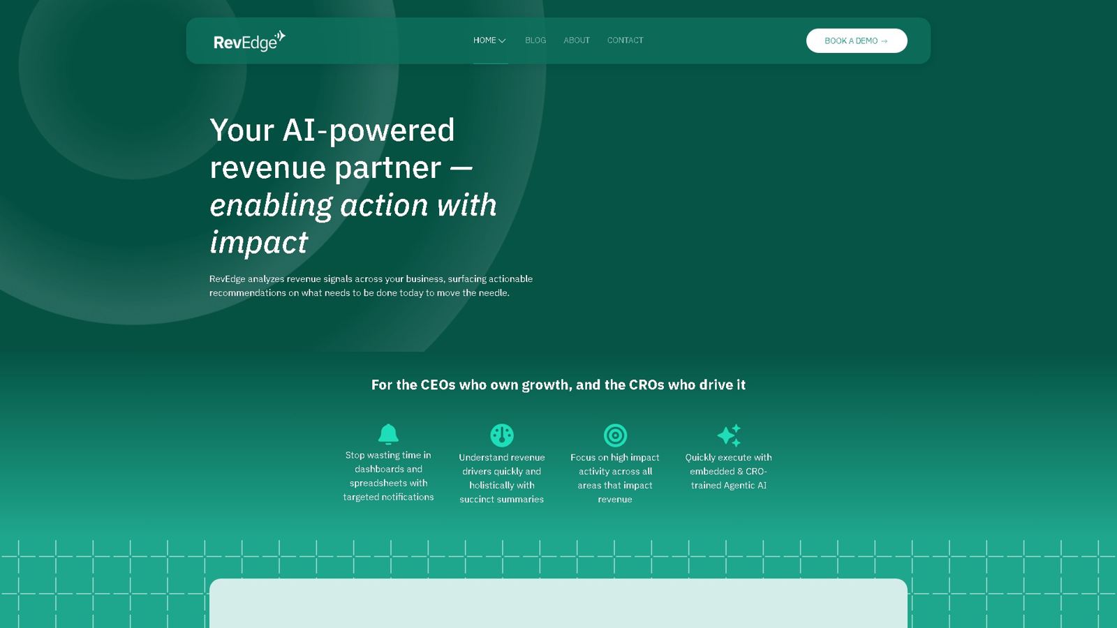 Revedge.ai - Revenue Optimization Platform